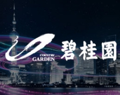 碧桂园：数字化驱动业务创新